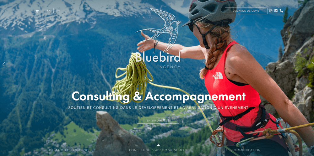 Blue Bird project screenshot